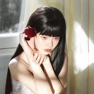 梅林和野兽之书